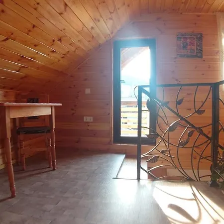 ゲストハウス Casa Viorica Si Luis Câmpulung Moldovenesc