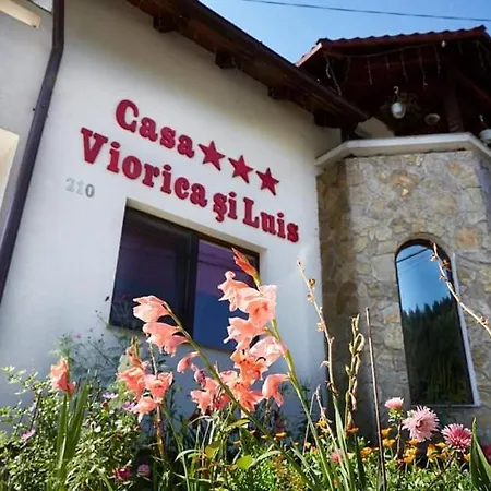 Casa Viorica Si Luis * Câmpulung Moldovenesc