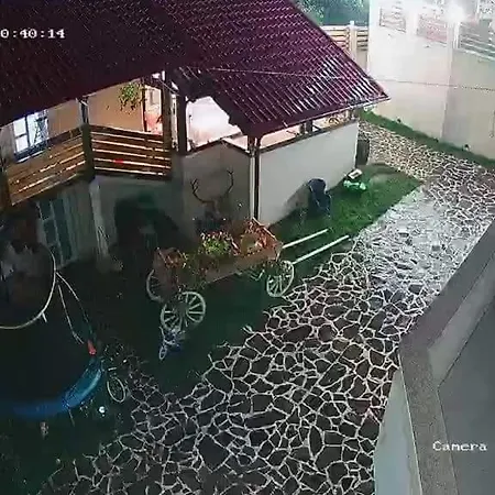 ゲストハウス Casa Viorica Si Luis *