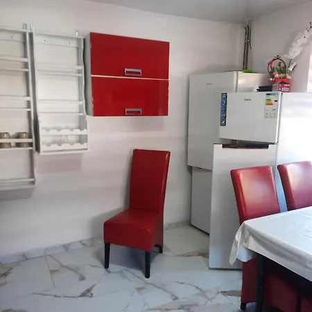 ゲストハウス Casa Viorica Si Luis *