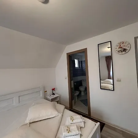 Casa Viorica Si Luis ゲストハウス *