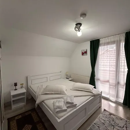 Casa Viorica Si Luis ゲストハウス *