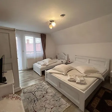 ゲストハウス Casa Viorica Si Luis *